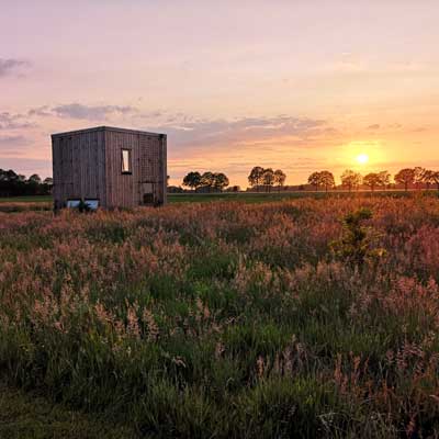 Sfeerfoto 4 Natuurhut Goudvink