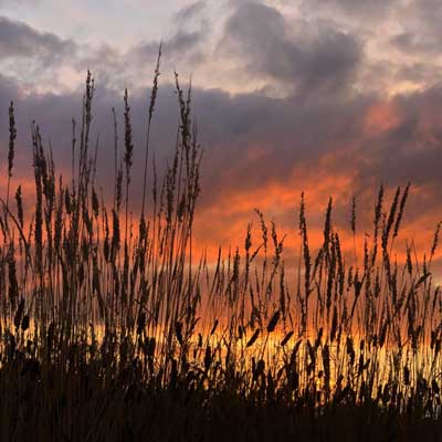 Sfeerfoto 2 Natuurhut Keetje