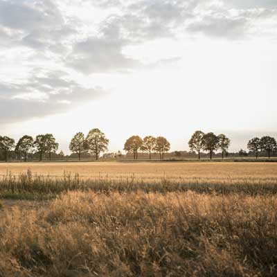 Sfeerfoto 4 Natuurhut Keetje