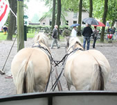 Wat te doen tijdens je vakantie in Drenthe?