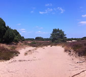 Vakantie Vieren in Drenthe
