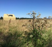 Rust & Ruimte. Drenthe wacht op je!