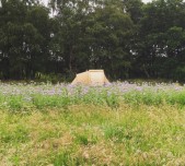 Kamperen midden in de natuur