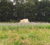 Kamperen midden in de natuur