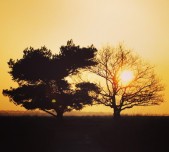 Groen Geluk in Drenthe