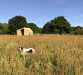 Groen Geluk in Drenthe