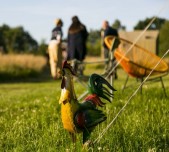 Kamperen midden in de natuur