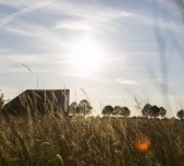 Als zwerfkeien in het landschap