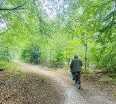 Wat te doen tijdens je vakantie in Drenthe?