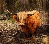 Groen Geluk in Drenthe