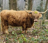 Groen Geluk in Drenthe