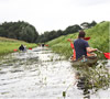 Kanovaren door de Drentse Wildernis