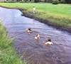 Blote Voeten Pad