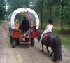 Paardrijden en huifkartochten in Drenthe
