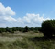 Natuurmonumenten en het Mantingerveld