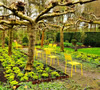 De Luie Tuinman, actief in 25 siertuinen
